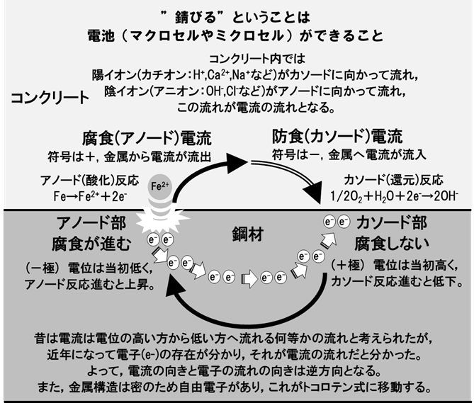 Answer